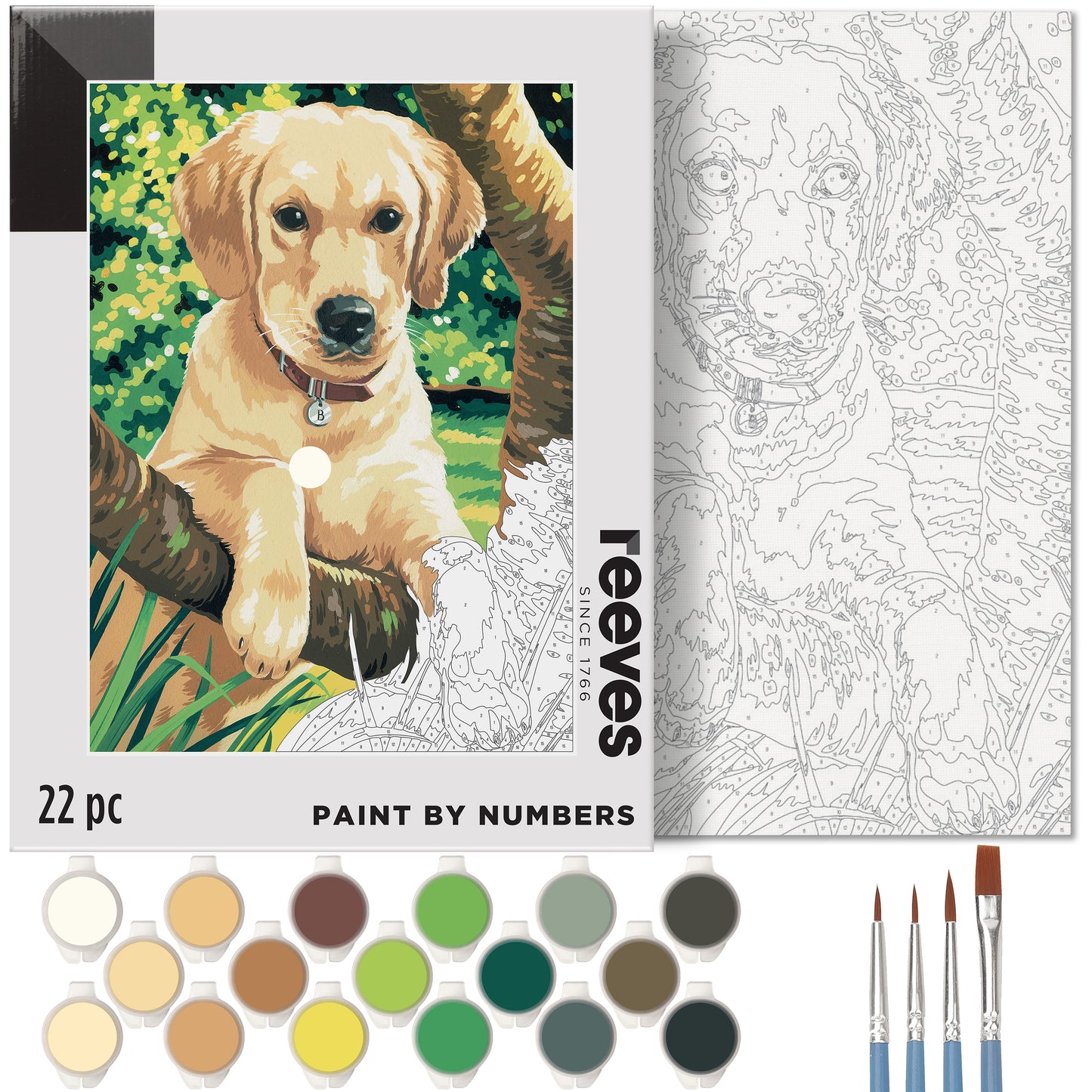 Paint by Numbers for Adults - Labrador Dog