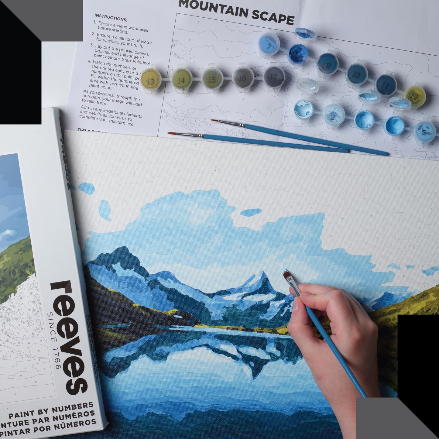 Paint by Numbers for Adults - Mountain Landscape