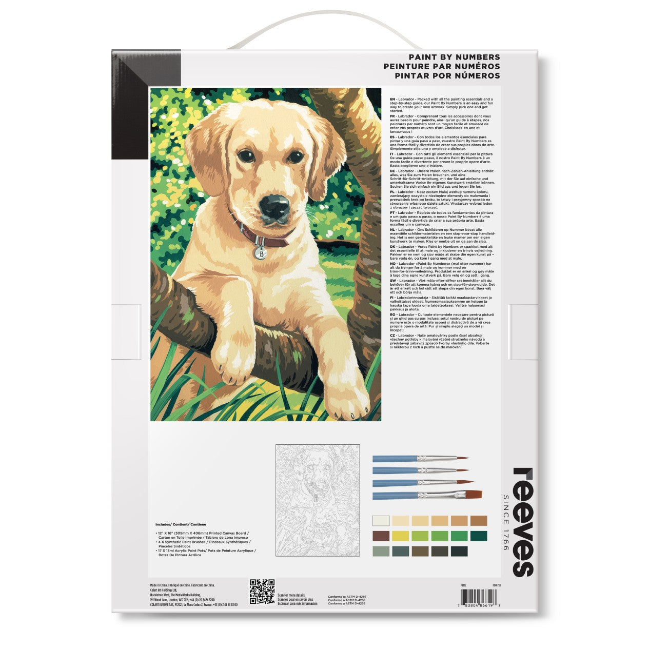 Back of Product Paint by Numbers Dog