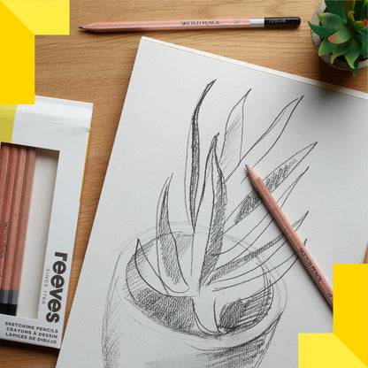 Sketching pencil set - 12 assorted shades