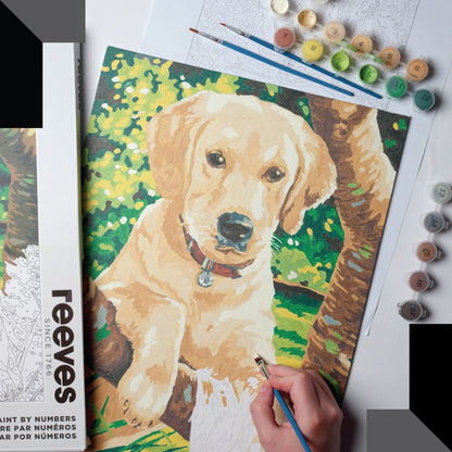 Paint by Numbers for Adults - Labrador Dog